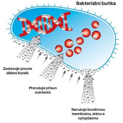 bacteria-footbac-feedback