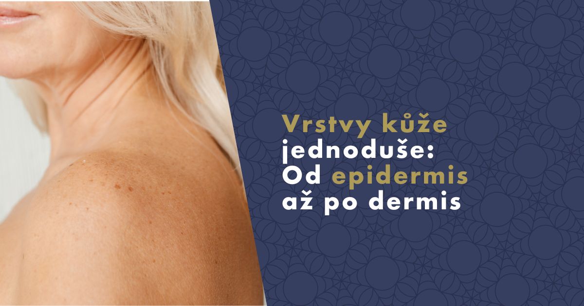 Illustration der Hautschichten Epidermis und Dermis