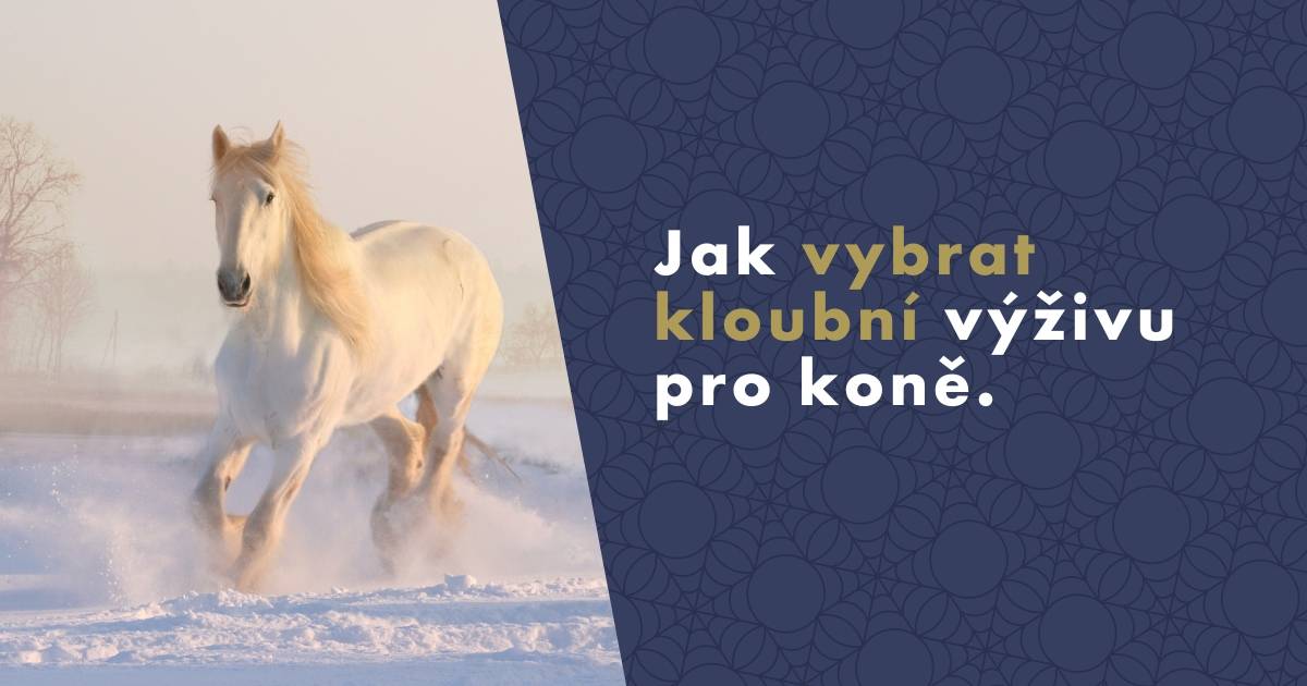 jak-vybrat-kloubovou-vyzivu-pro-kone-fb