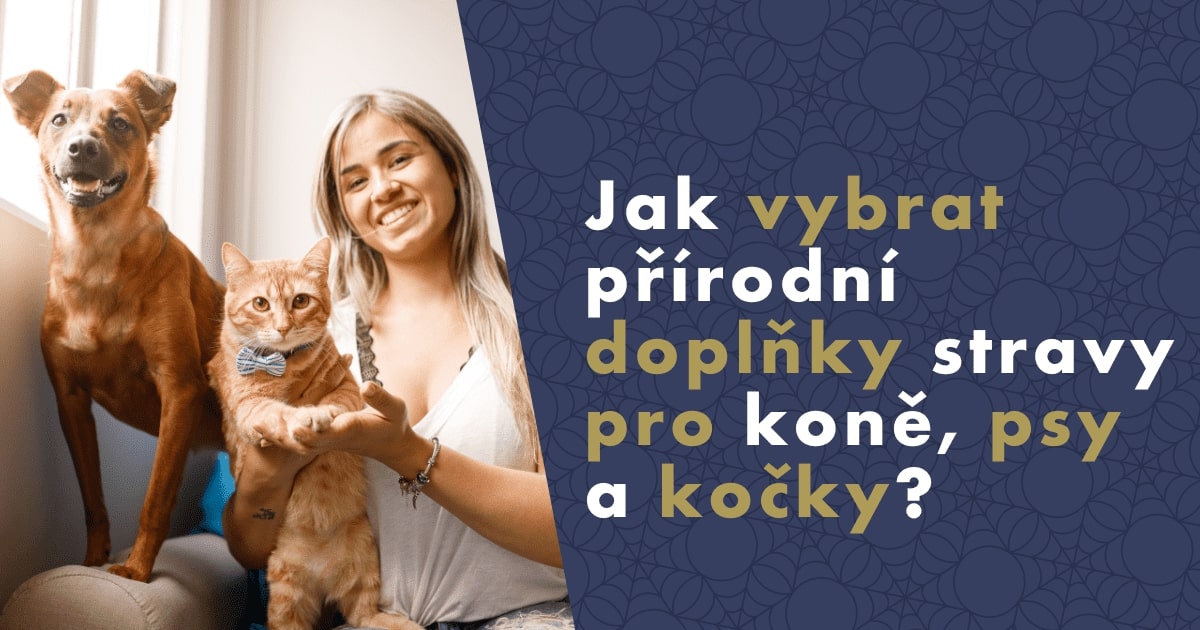 jak-vybrat-prirodni-doplnky-stravy-pro-kone-psy-a-kocky-fb