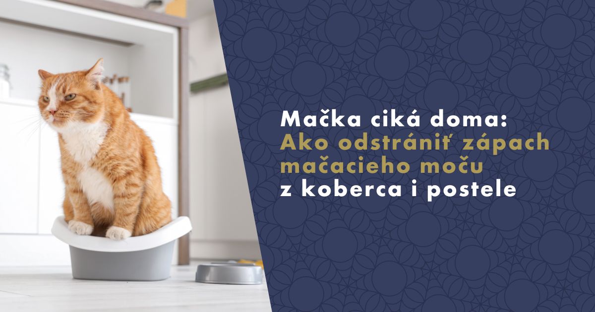 ako-odstrániť-zapach-kocicu-mocu-fb