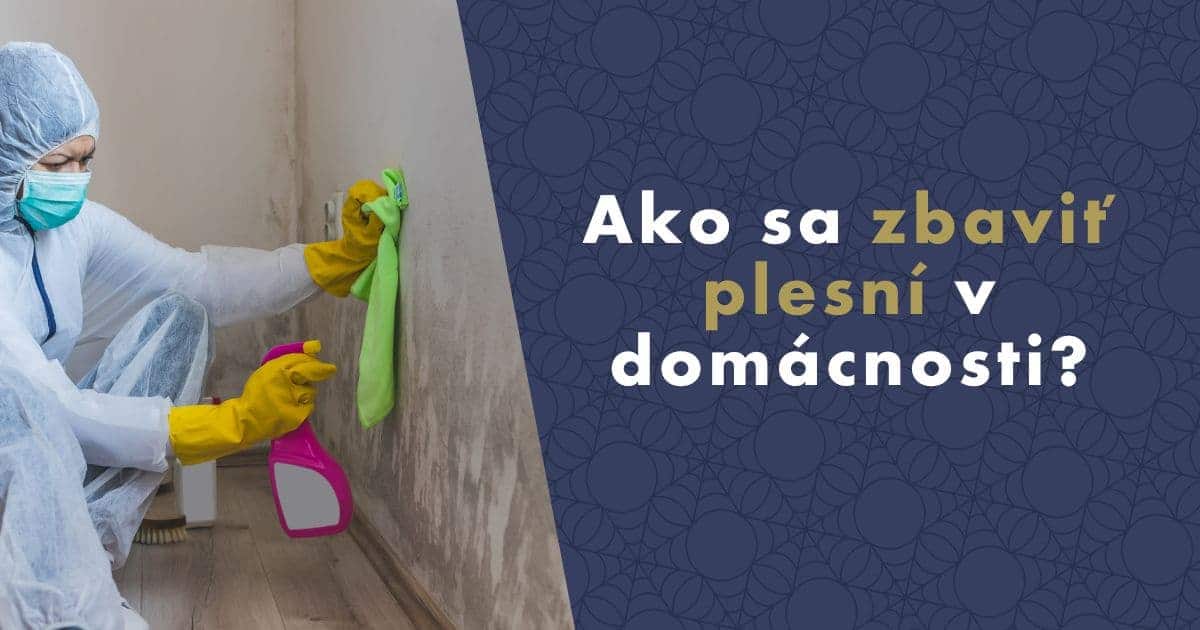 ako-sa-zbavit-plesni-v-domacnosti