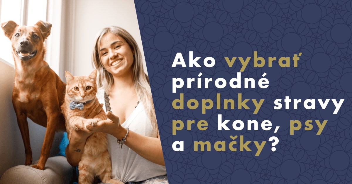 ako-vybrat-prirodne-doplnky-stravy-pre-kone-psy-a-macky