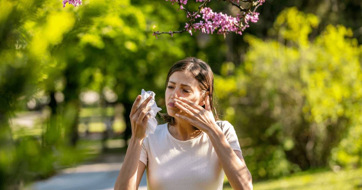 Najčastejšie príznaky alergie na peľ: vodnatá nádcha, kýchanie, slzenie očí, kašeľ, kožné prejavy pri kontakte s rastlinou.