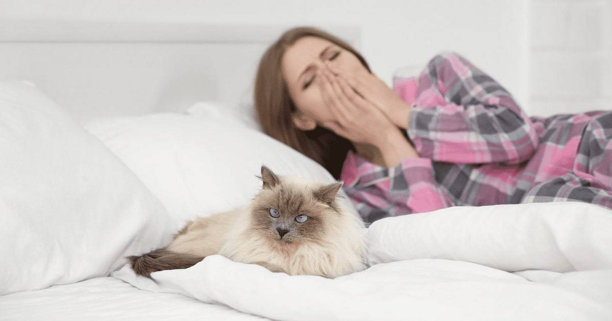 alergia-na-zvieraciu-srst