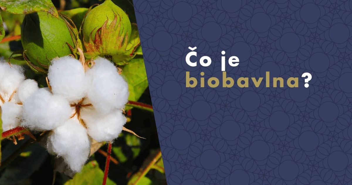 co-je-biobavlna-fb