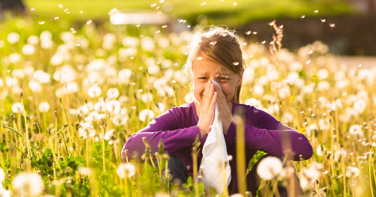 hay-fever-allergy.jpeg