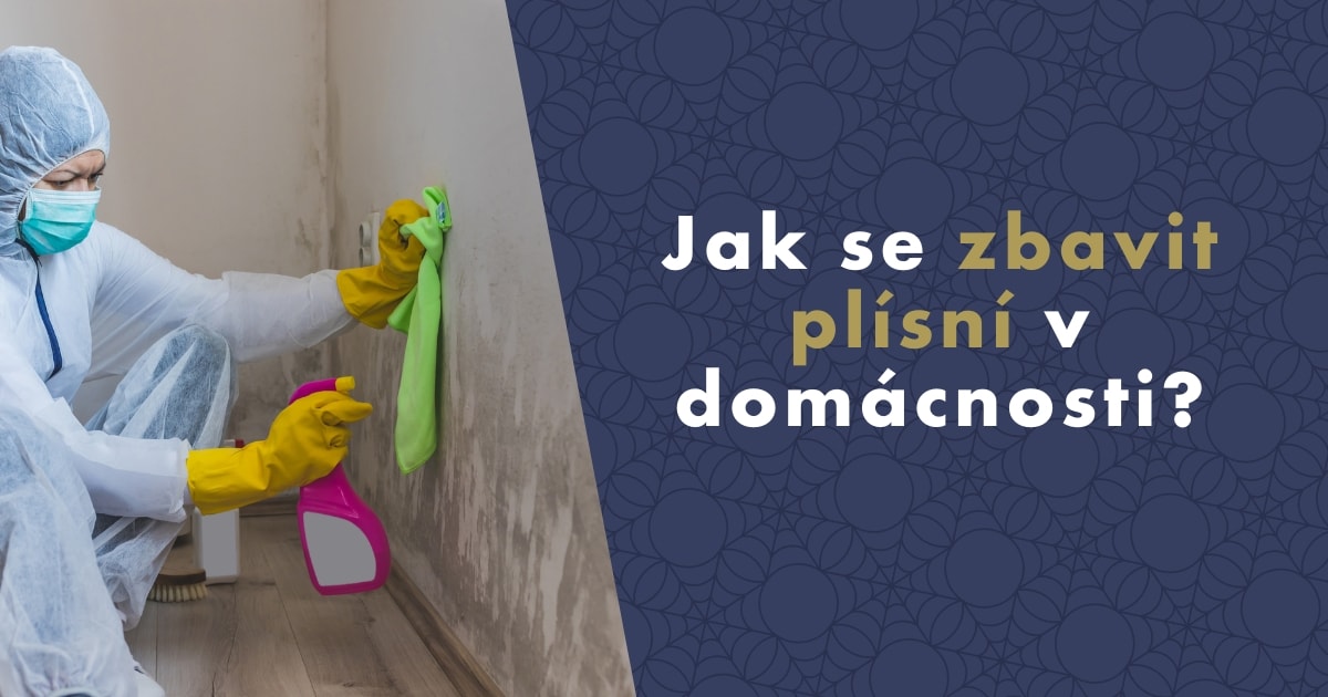 jak-na-plisen-fb