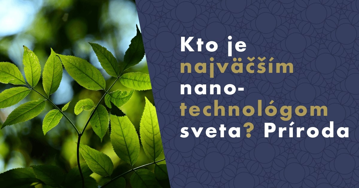 Čo sú nanotechnológie a kde sa používajú v prírode?