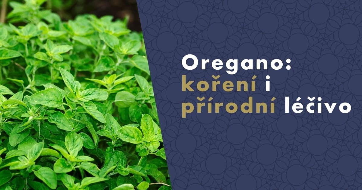 oregano