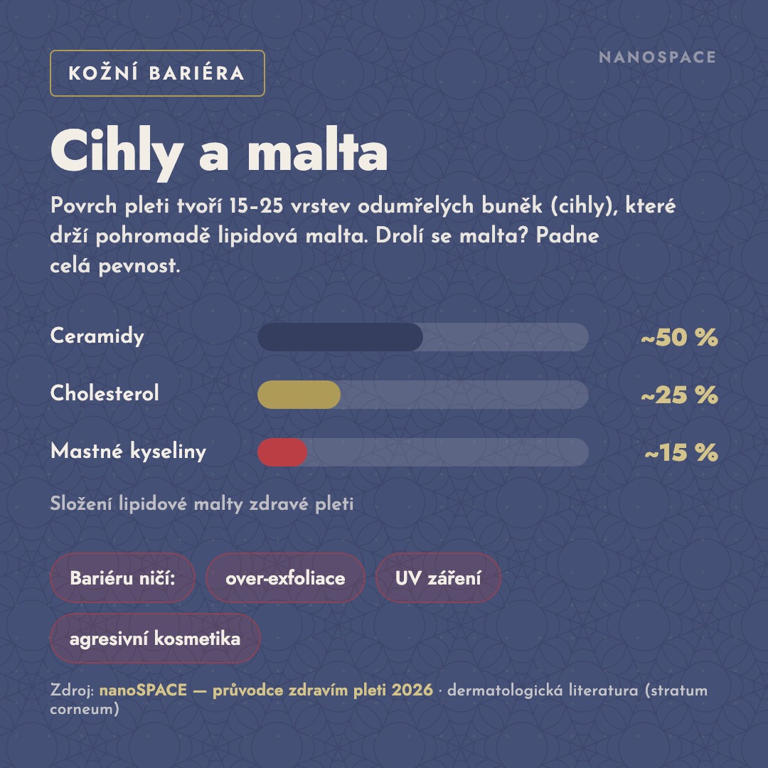 Kožní bariéra: cihly a malta – složení lipidové vrstvy