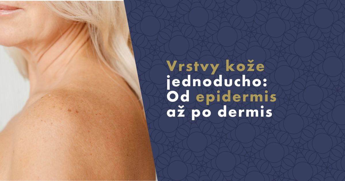 vrstvy-koze-epidermis-dermis-fb
