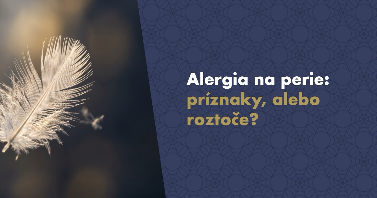 Alergia na perie: príznaky, alebo sa za ňou skrývajú roztoče?