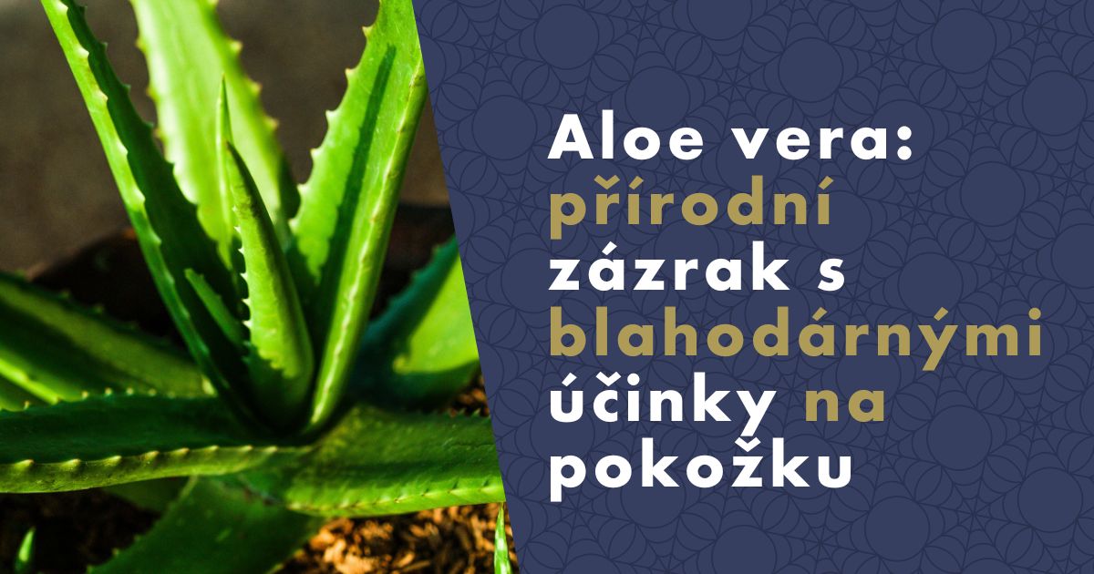 rossmann aloe vera shampoo Smooth & Restore Shampoo with Keratin and Aloe Vera – Petal Fresh