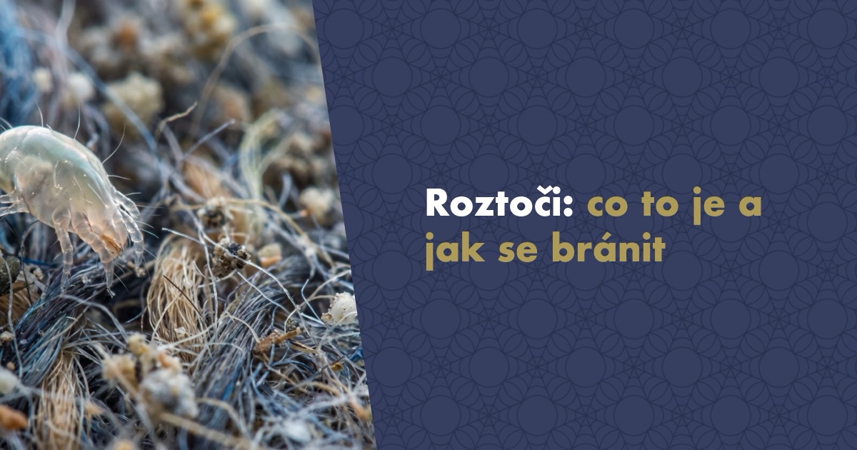 Roztoči: co to je, kde žijí a jak se před nimi bránit (2026)