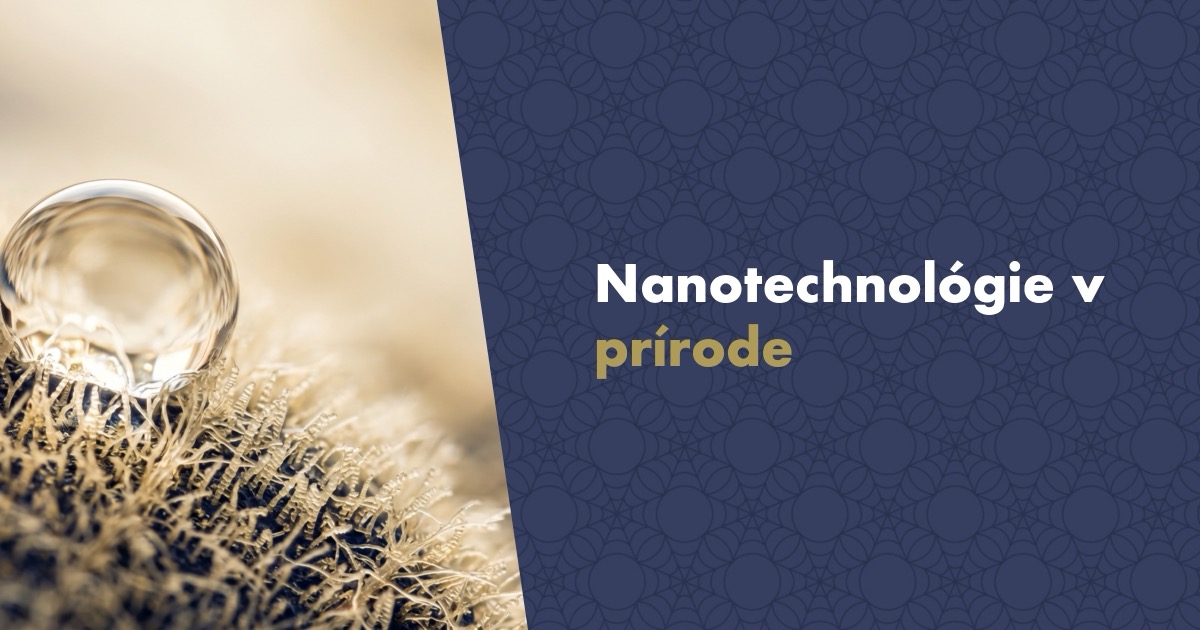 Čo sú nanotechnológie a kde sa s nimi v prírode stretneme