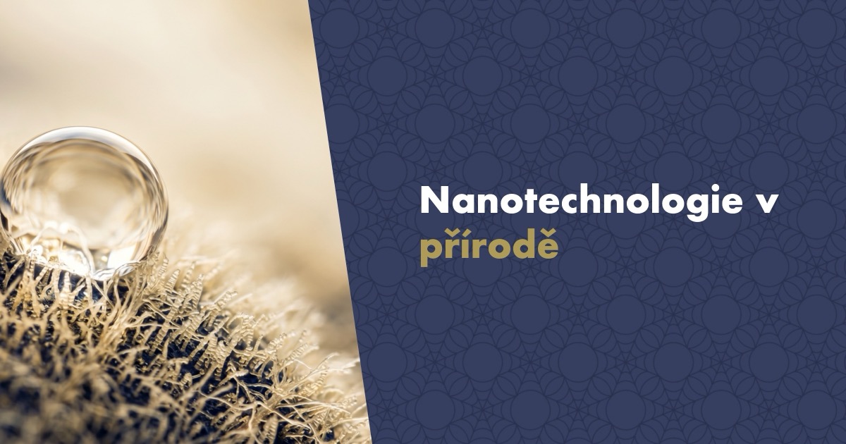 Co jsou nanotechnologie a kde se s nimi v přírodě setkáme