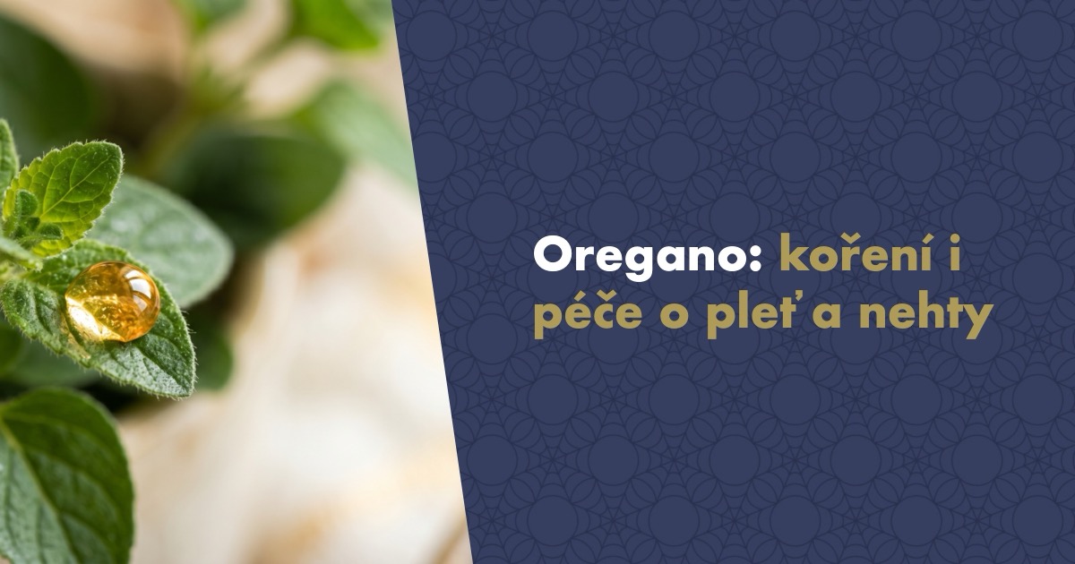 Oregano: koření, bylina a její místo v péči o pleť a nehty