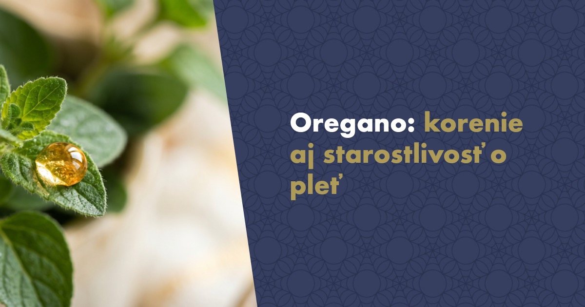 Oregano: korenie, bylina a jej miesto v starostlivosti o pleť a nechty