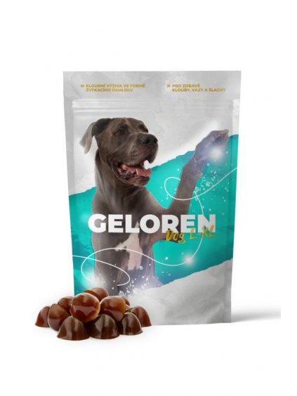 geloren dog l xl