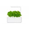 SG3 white basil 640x427 c5111356 1acb 48b9 902c 06a87cbb92c1 1200x