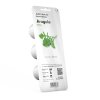 Arugula 3pack whitebg 5fc09708 c46b 411a ac73 23334ff8cc67 1200x