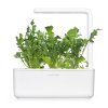SG3 Arugula white 1200x1200 ac3838d4 4955 40fb a41d 24a5c31245b3 1200x