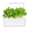 SG3 white front lettuce 1200x1200 db840f75 6756 4ddb 9b50 b96a2bef0c1e 1200x
