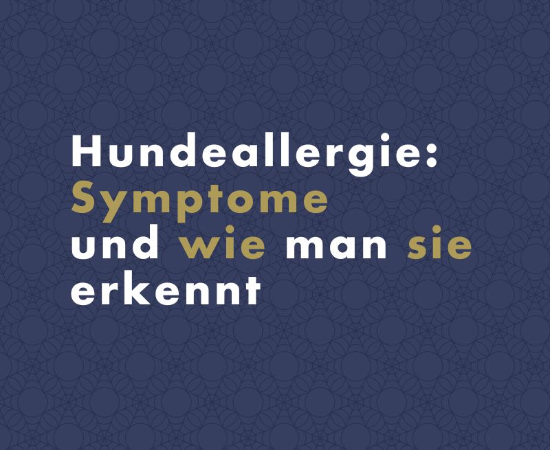 Hundeallergie: Symptome und wie man sie erkennt