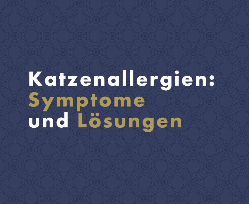 Katzenallergien: Symptome und Lösungen