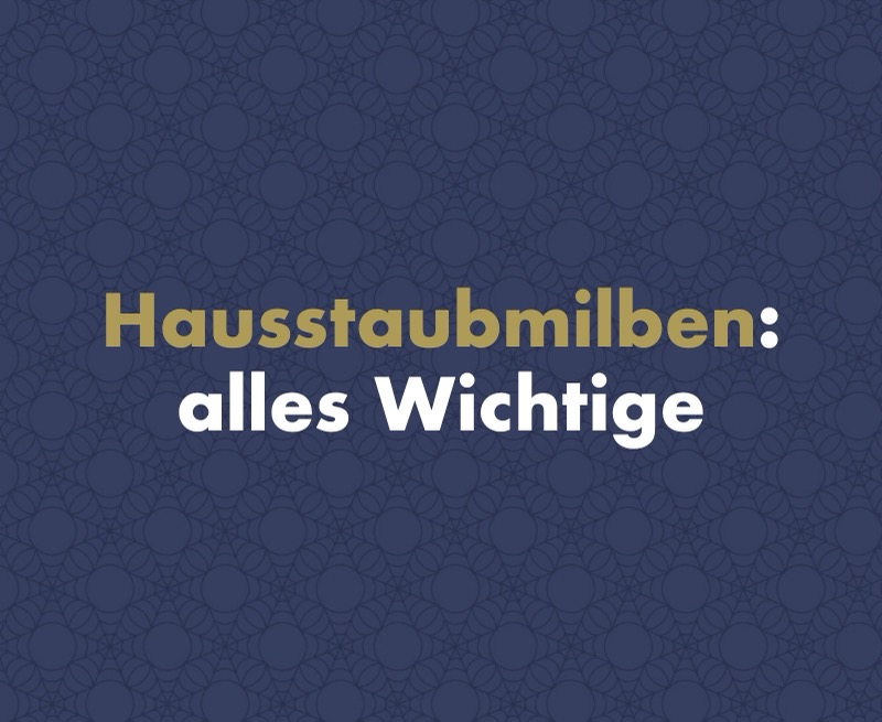 Was sind Milben und wie wirken sie sich auf Ihre Gesundheit aus?