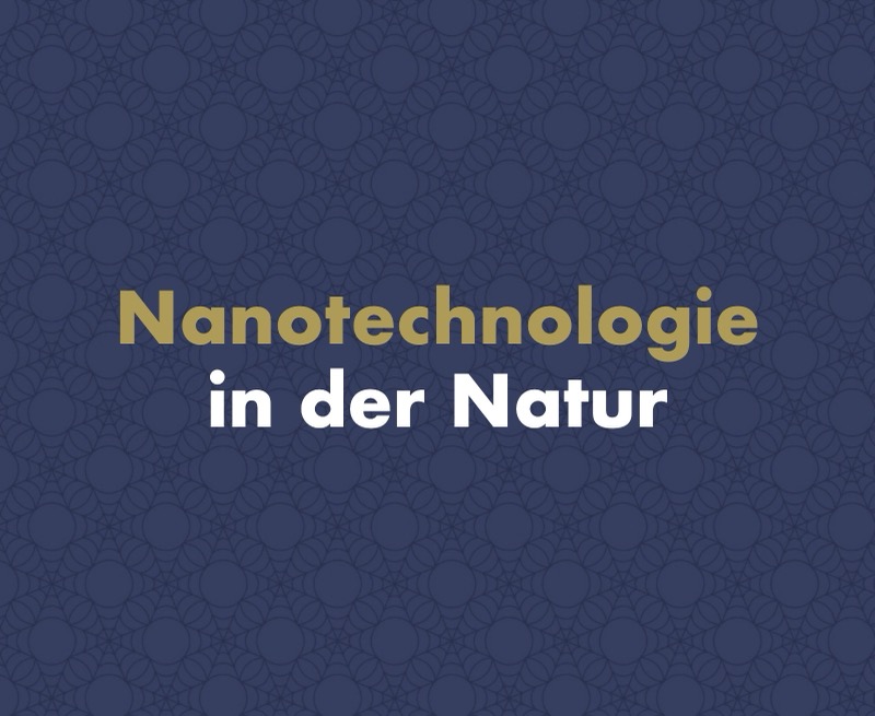 Was ist Nanotechnologie und wo begegnet sie uns in der Natur?