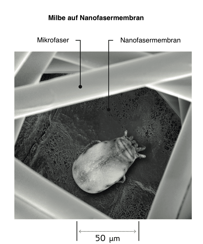 Roztoč na nanomembráně