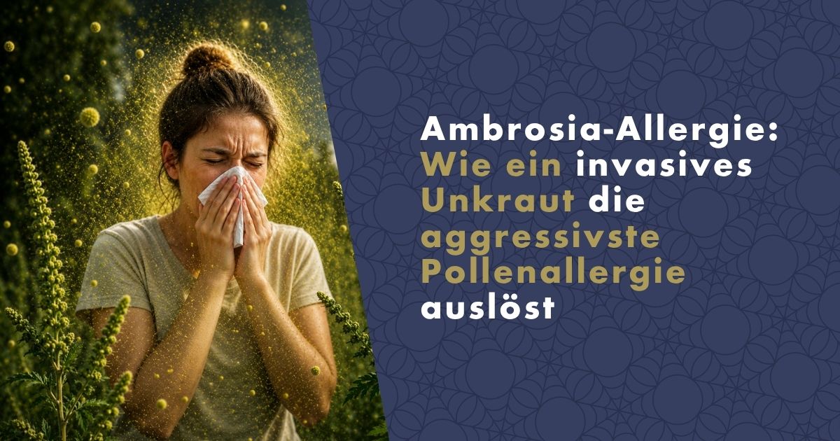 ambrosia-allergie-fb