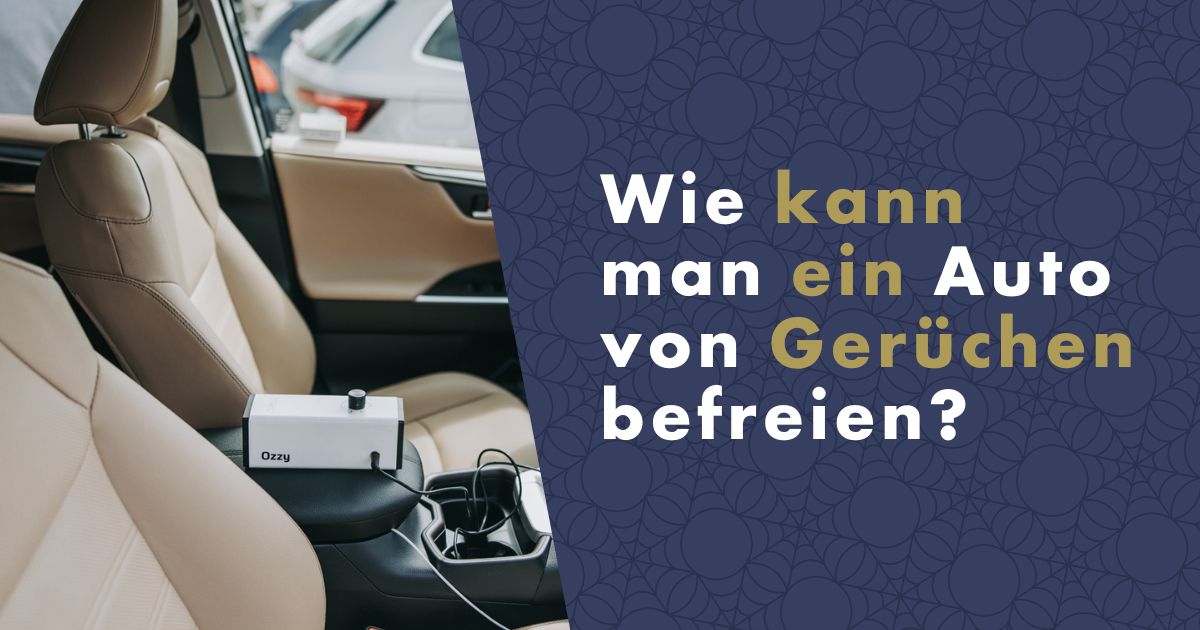 auto-von-geruchen-befreien-fb
