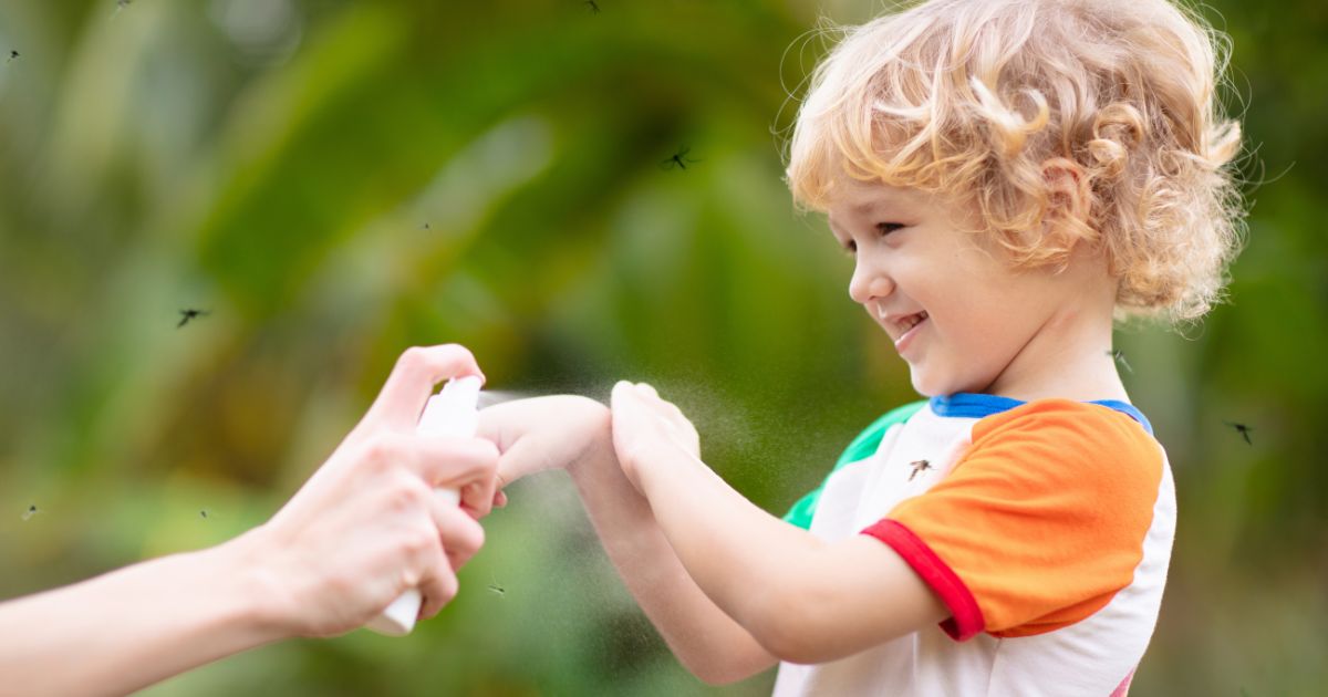 citronella-ol-gegen-mucken