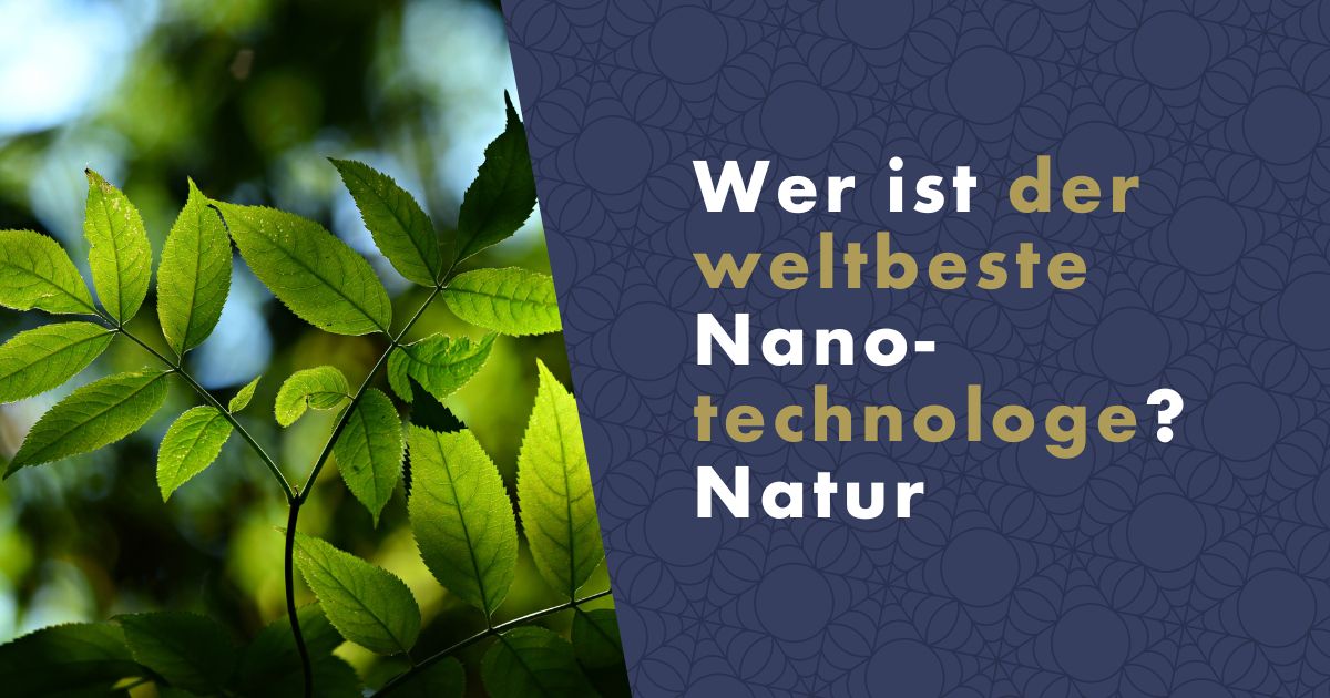 der-beste-nanotechnologe-fb