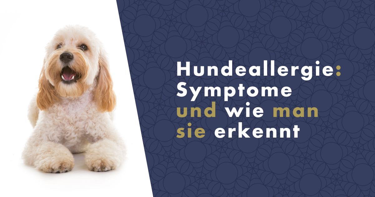 hundeallergie-fb