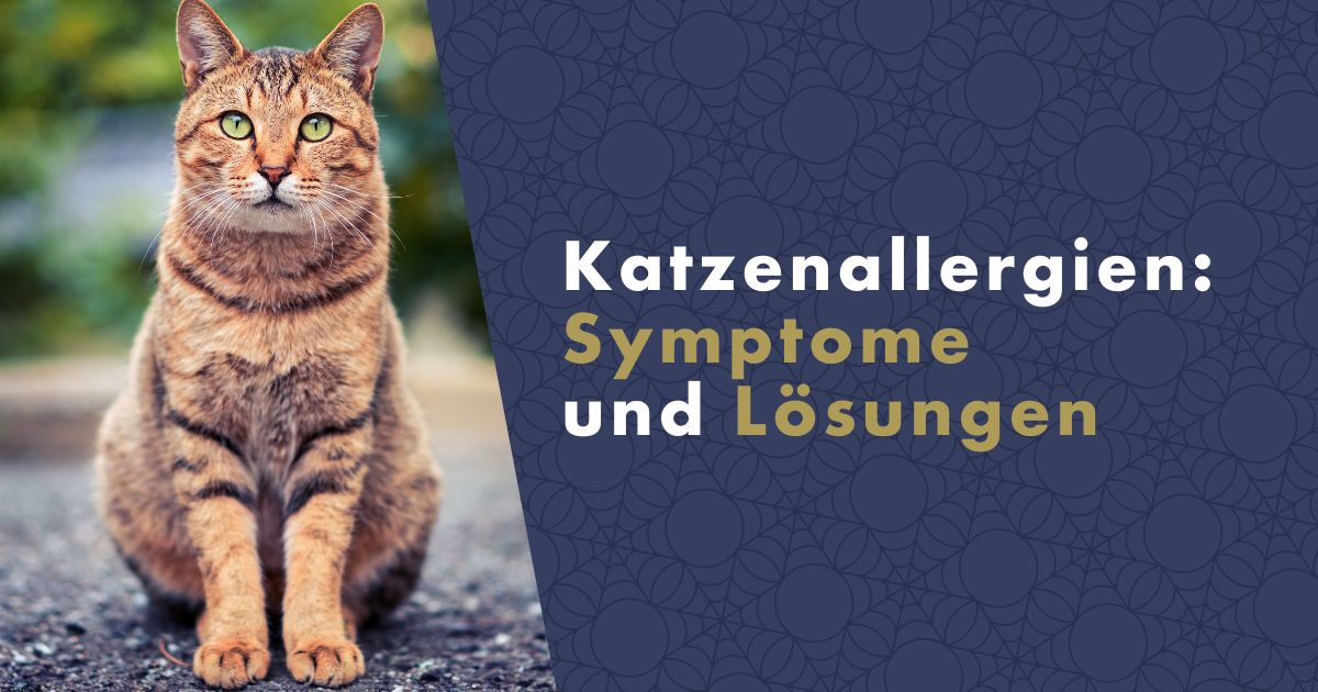 katzenallergien-fb