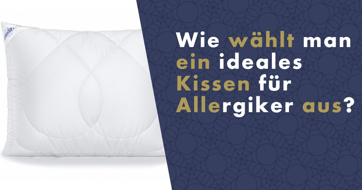 kissen_f__r_allergiker_aus-fb