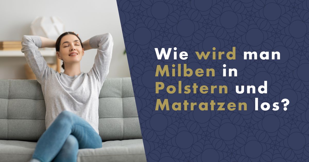 milben-in-polstern-und-matratzen-effektiv-loswerden-fb