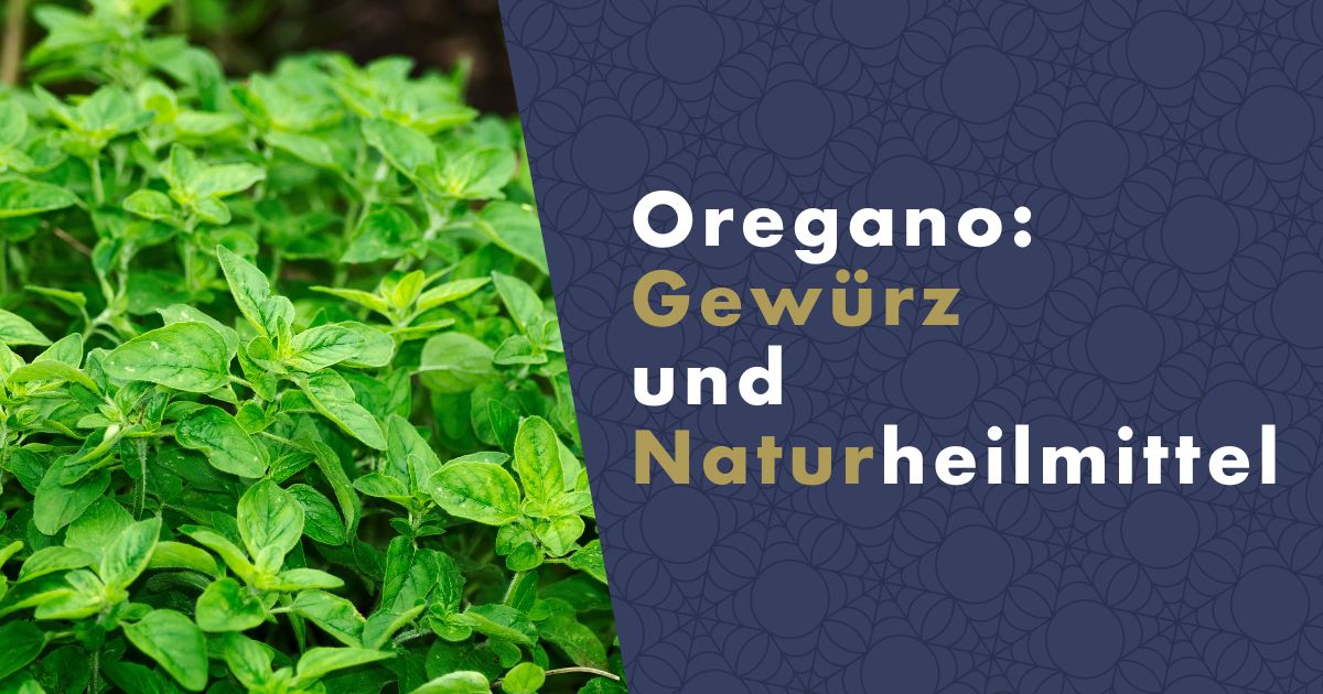 oregano-gewurz-und-naturheilmittel