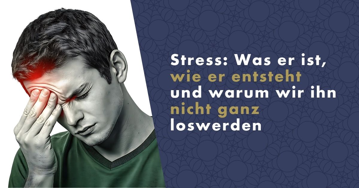 stress-fb