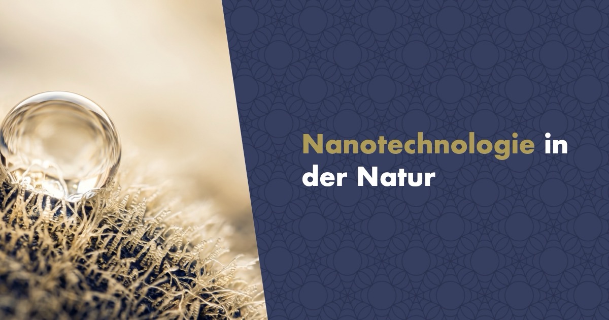 Was ist Nanotechnologie und wo begegnet sie uns in der Natur?