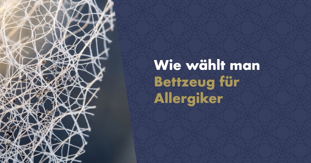 Anti-Milben-Bettwäsche richtig auswählen: Der komplette Ratgeber 2026