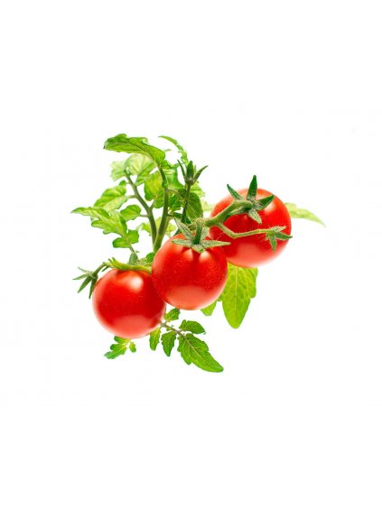 Click & Grow Kassetten mit Gemüsesamen für Intelligente Blumentöpfe 3 Stk. - Mini-Tomaten