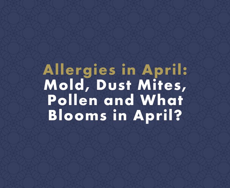 Allergies in April: Mold, Dust Mites, Pollen and What Blooms in April?