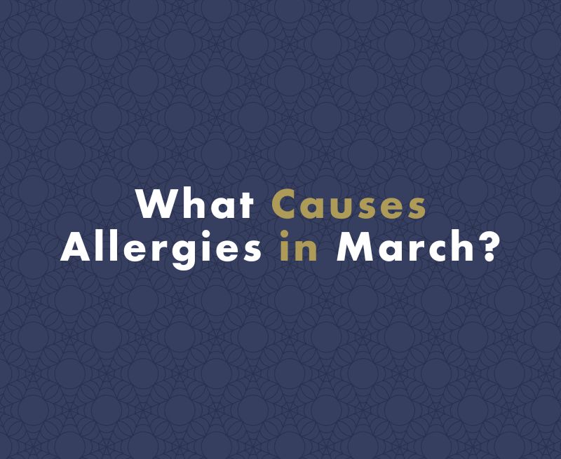 What Causes Allergies in March?