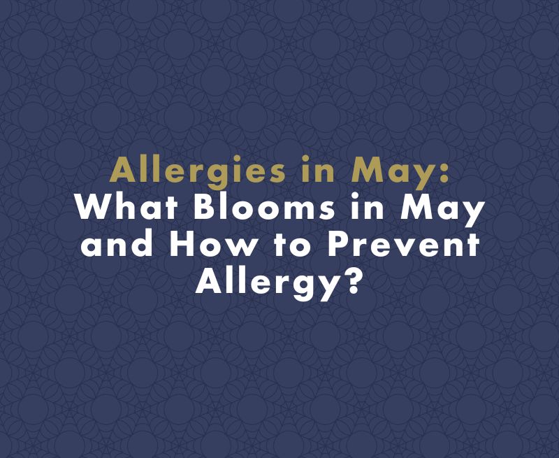 Allergies in May: What Blooms in May and How to Prevent Allergy?