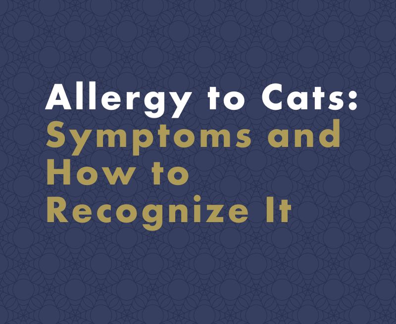 Allergy to Cats: Symptoms and How to Recognize It